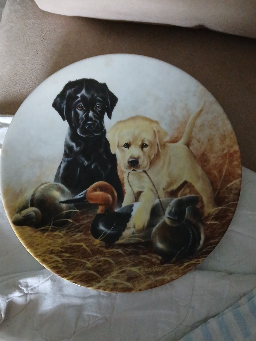 Knowles White Backstamp Collectible Plate With Labrador Retrievers.  8.5 Inches